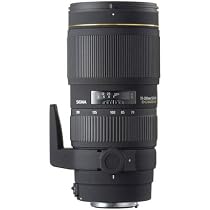 Sigma APO 70-200mm f/2.8 EX DG Macro HSM Lens for Nikon Digital SLR Cameras