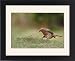 Framed Prints of -68 from Flpa