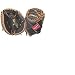 Rawlings Player Preferred Series RCMYB Catcher's Mitt