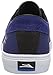 Lakai Men's Riley Hawk Skateboarding Shoe
