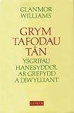 Grym tafodau tân : ysgrifau hanesyddol ar grefydd a diwylliant