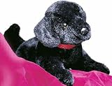 Plush Hopper Black Lab 13