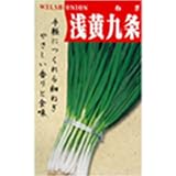 周年出荷が可能!　浅黄系九条(一般種)　数量:100ml