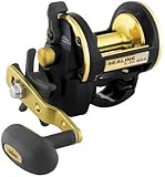 Sealine-X Sha 30 Casting Reel by Daiwa