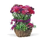 Basket of Smiles