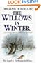 The willows in winter