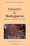 Kalanchoe de Madagascar : Syst�matiqu...