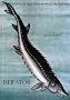 Der St�r