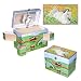Hideaway Horse Music Box