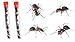 2 TUBES Live Ant Farm Ants Shipped Now: Ant Farm Kit Refill: 60 Ants