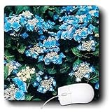 Flowers - Hydrangea - Mouse Pads