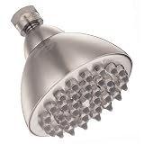 Danze D462261BN Water Saver Lamp Style Sunflower Showerhead, Brushed Nickel