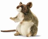 Gelbhals Mouse 7