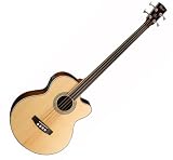 Cort SJB 6FXFL Fretless
