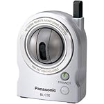 Panasonic Wireless 802.11 b/g Network Camera and Pet Cam (BL-C30A)