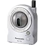 Panasonic Wireless 802.11 b/g Network Camera and Pet Cam (BL-C30A)