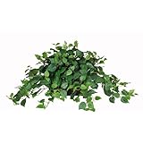 Artificial Mini Philo Ledge