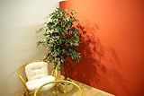 Produkt-Bild: Ficus Echtholzstamm Kunstpflanze Kunstbaum 190cm