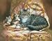 Home Sweet Home I, Cats & Kittens Art Poster Print by Judy Gibson, 14x11