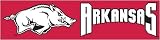 Arkansas Eight Foot Banner - B00078ZWH6