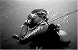 Atlantis AUW-552 Under Water Video Camera System