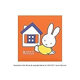 ナカバヤシ ディック ブルーナ ミッフィー フエルアルバム ア-LB-615-Rレッド 生活用品 インテリア 雑貨 インテリア 家具 フォトスタンド アルバム [並行輸入品]
