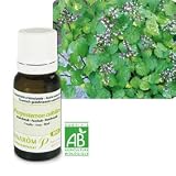 Pranarôm - Huile Essentielle de Patchouli BIO - 10 ml