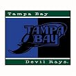 Biederlack Tampa Bay Devil Rays All-Star Throw