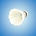TZ International 12x Training White Goose Feather Shuttlecocks Birdies Badminton Ball Game Sport Training Game Fans Practicing (1 set)