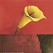 Cala Lily on Red Art Poster Print by Claudio Furlan, 12x12