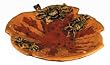 Large tray with 3 dimensional crabs - ceramic