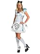 Alice in Wonderland Theatre Costumes Movie Costumes Fairytale Costume Storybook