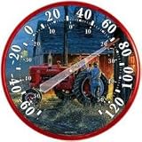 Chaney Instrument 12.5 Inch Indoor/Outdoor Thermometer, Starting Them Young