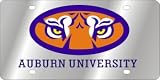 Auburn Univ.: Auburn Univ. #2