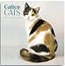 persian17 - 2010 Cat Wall Calendars 12inch x 12inch Breed