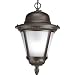 Progress Lighting P5530-20STR 1-Light Compact Fluorescent Hanging Lantern with Photocell In Die-Cast Aluminum and Etched Seeded Glass, Antique Bronze