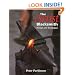 The Artist Blacksmith: Design and Techniques