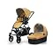 Baby Essentials!