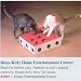 Sj Bizzy Kitty Entertain Game