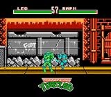 Teenage Mutant Ninja Turtles Tournament Fighters