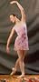 Trienawear 14" to 20" Tapered Floral Chiffon Wrap Skirt TR200FL Dancewear Assorted Prints P/S M/L
