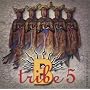 B-Tribe 5