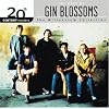 20th Century Masters: The Millennium Collection:  The Best of Gin Blossoms