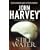 Still Water (A Resnick novel)