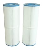 Waterway 817-5000 50-Square-Foot Weir Spa Filter Cartridge, 2-Pack