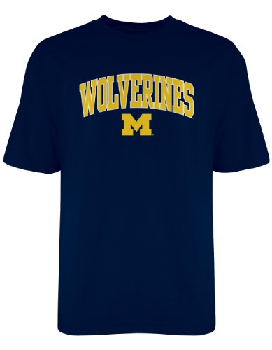 NCAA Michigan Wolverines Old Varsity/Gildan T-Shirt, Navy, Medium