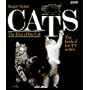 Cats: The Rise of the Cat