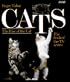 Cats: The Rise of the Cat