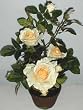 20" Potted Yellow Rose