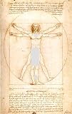 Da Vinci Virtruvian Man Decorative Switchplate Cover